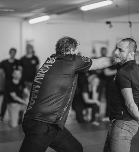 COURS COLLECTIFS ADULTES OIS KRAV MAGA